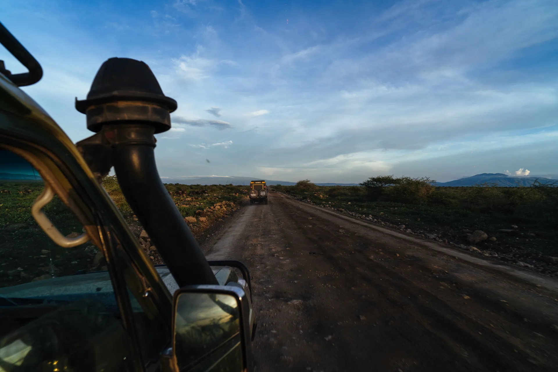 Aerial view of the Serengeti at dawn — the morning mist lifts over acacia trees as the savannah comes alive